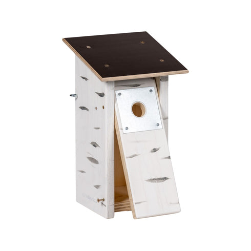 Linnunpönttö talitiainen / kirjosieppo - koivunvärinen